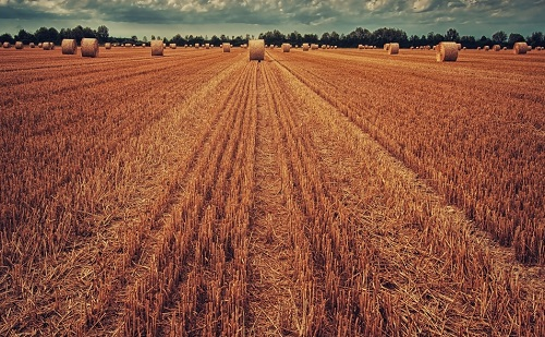 1645777697846319.png image.png