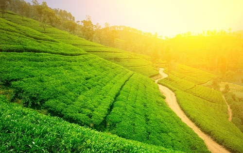 1646100514616720.png image.png