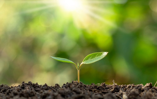 1650856788170474.png image.png