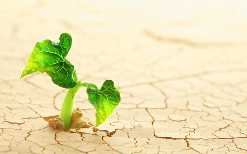 1651730684432967.png image.png