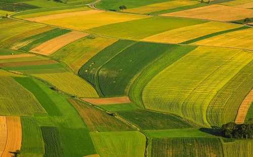 1655781821645838.png image.png