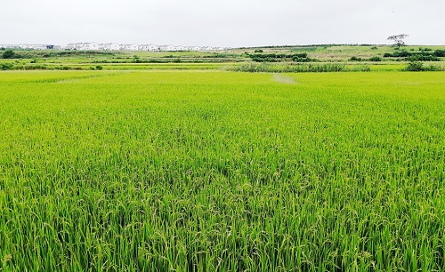 1657248536344661.png image.png