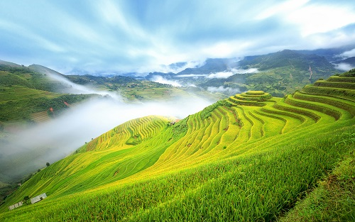 1658130145171598.png image.png