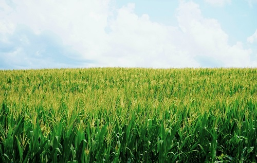 1661829342970081.png image.png