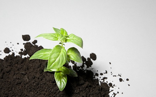 1662616964149346.png image.png