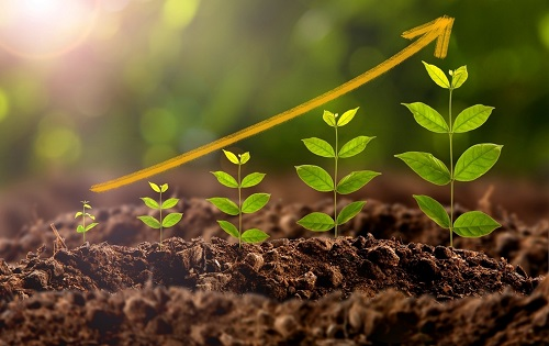 1665383312124065.png image.png