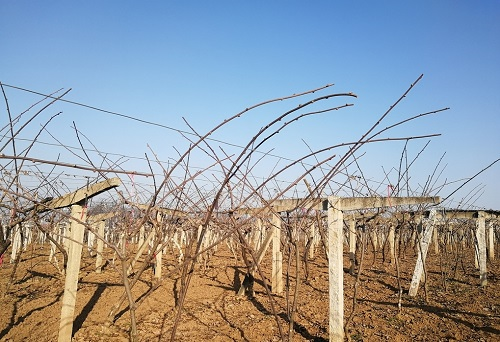 1665556846142685.png image.png