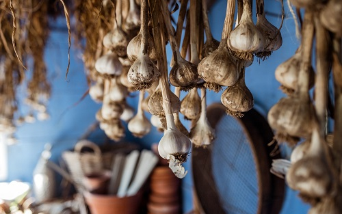 1666589616186280.png image.png