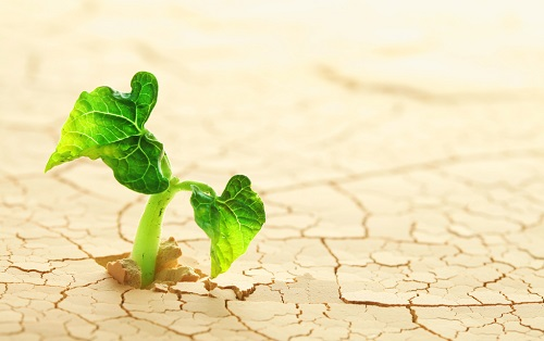 1666840347446612.png image.png