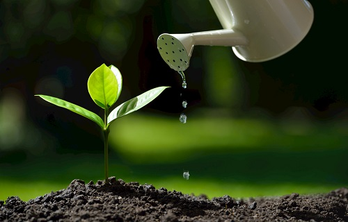 1667547519944994.png image.png