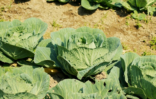 1670397343282524.png image.png