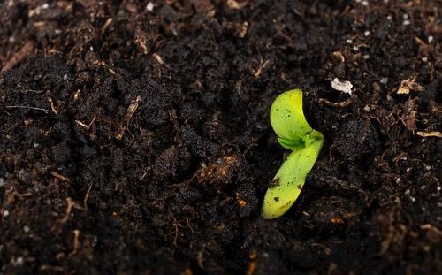 1671521306354493.png image.png