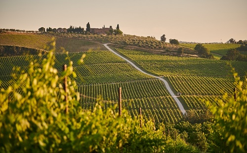 1672380011192941.png image.png