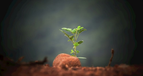 1675663260172854.png image.png