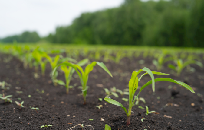 1679985972205121.png 1679985972205121.png