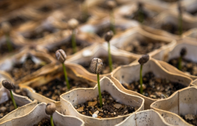 1681718199785432.png 管式土壤水分測量的重要性